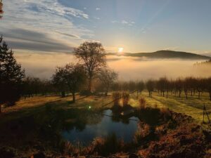 glamping_na_podlipi_00038